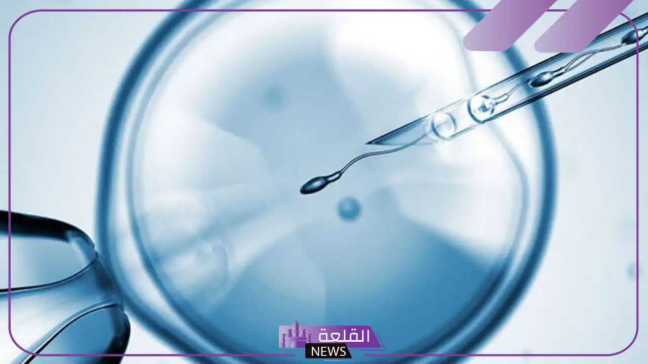 تجربتي مع الحقن المجهري بالتفصيل حتى النتيجة 5 عيوب الحقن المجهري