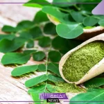 تجربتي مع المورينجا للشعر لحمايته من الضرر