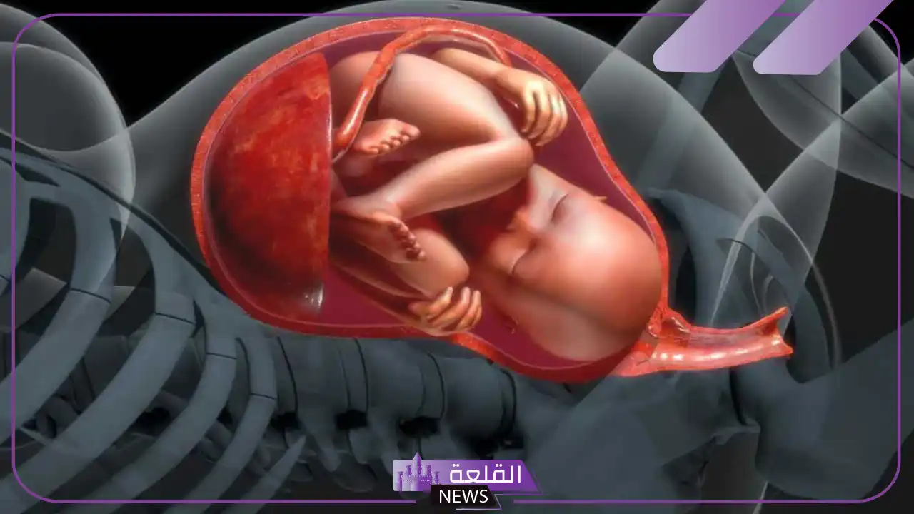 تجربتي مع نقص ماء الجنين وهل يسبب خطر عليه 5 متى يكون نقص ماء الجنين خطر