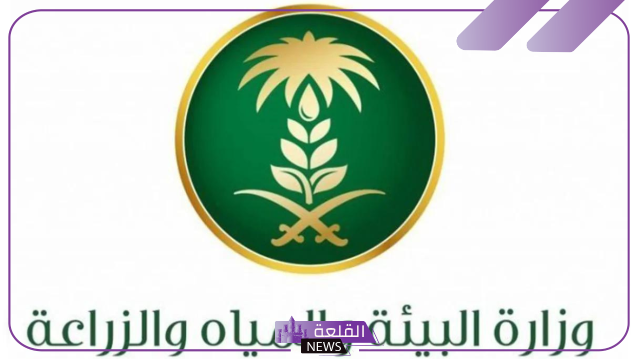في هذا التوقيت.. موعد صرف دعم المواشي لشهر نوفمبر 2024