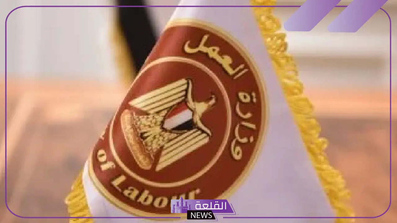 بـ 10 محافظات.. وزارة العمل تعلن 4599 وظيفة في 53 شركة داخل مصر