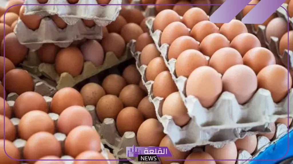 البلدي والأبيض.. أسعار شراء البيض البلدي والدواجن اليوم السبت 2 نوفمبر 2024