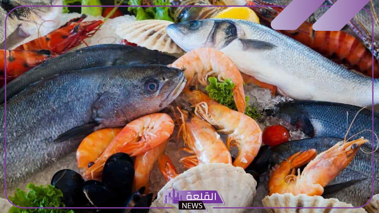 الدينيس والجمبري.. أسعار شراء السمك اليوم الأحد 3 نوفمبر 2024 في السوق