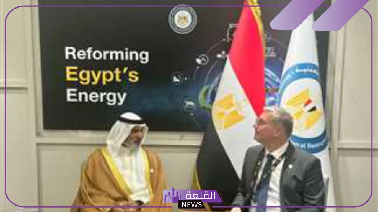 لتعزيز التعاون.. وزير البترول يبحث تعزيز سبل التعاون مع أمين شركة أوبك