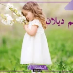 معني اسم ديلان وأبرز صفاته بالمميزات والعيوب 