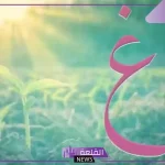 اكله بحرف الغين من المطبخ.. أسماء أكلات تبدأ بحرف غ