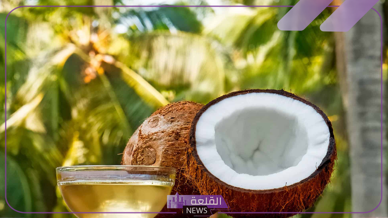 اسم اكله بحرف الجيم.. أسماء أكلات تبدأ بحرف ج 5 أكلات سريعة التحضير بحرف الجيم