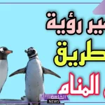 تفسير حلم رؤية البطريق في المنام لابن سيرين والنابلسي 