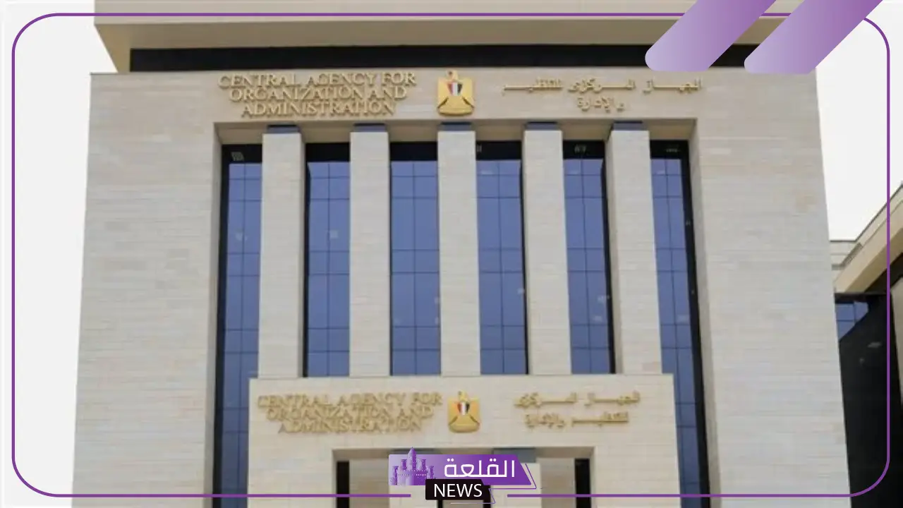 هيئة التنظيم والإدارة.. خبر سعيد لكل من تقدم على مسابقة وظيفة معلم مساعد لغة عربية