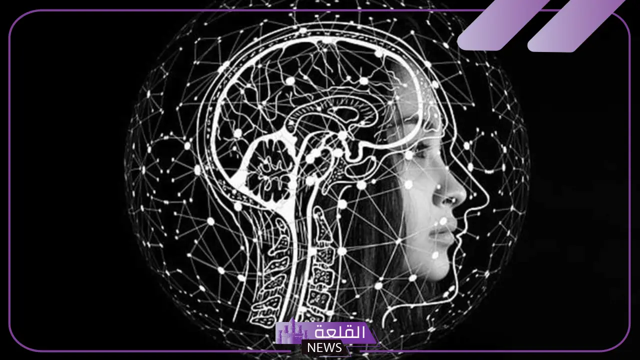 رسميًا.. الحارثي تحصل على جائزة المرأة العربية للعلوم والتكنولوجيا عن العام 2024 5 الحارثي تفوز بجائزة المرأة العربية