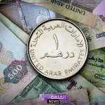 كم الدرهم؟ سعر صرف الدرهم الإماراتي أمام الجنيه المصري اليوم الثلاثاء 5 نوفمبر 2024