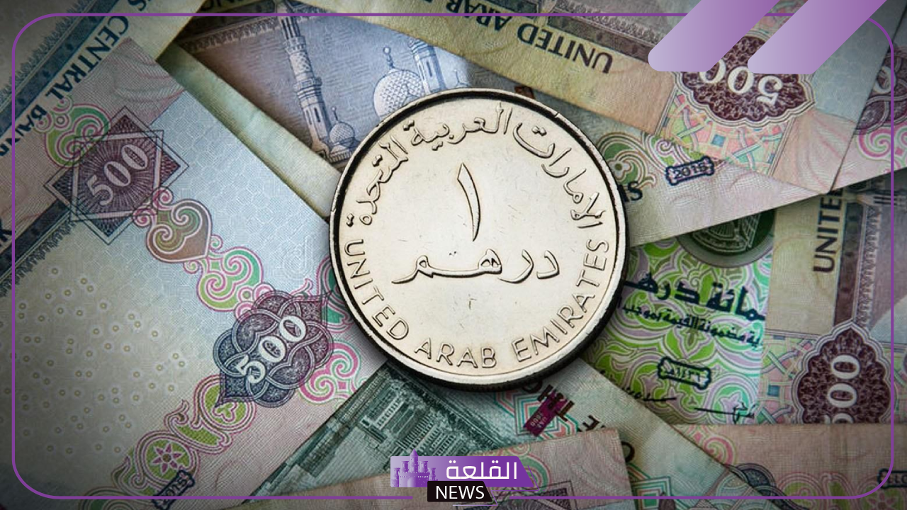 كم الدرهم؟ سعر صرف الدرهم الإماراتي أمام الجنيه المصري اليوم الثلاثاء 5 نوفمبر 2024