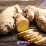 تجربتي مع الزنجبيل للحمل وهل آمن على الجنين؟