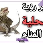 تفسير حلم رؤية السحلية في المنام لابن سيرين للعزباء والمتزوجة