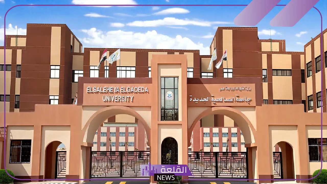 تعرف على التفاصيل.. جامعة الصالحية تعلن فتح باب التوظيف لأعضاء هيئة التدريس 5 التقديم في جامعة الصالحية