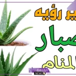 تفسير حلم رؤية نبات الصبار في المنام لابن سيرين