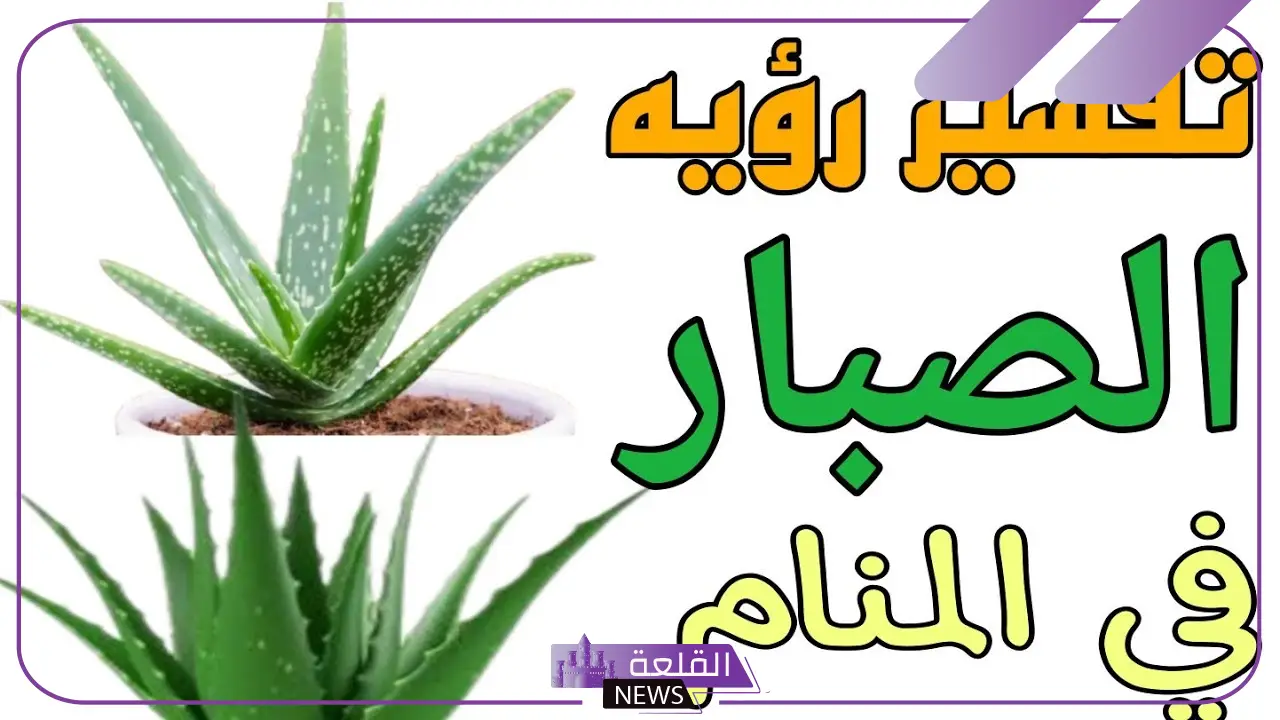 الصبار في المنام