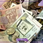 تفسير حلم رؤية المال في الحلم لابن سيرين للعزباء والمتزوجة