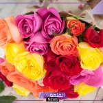 أفضل متاجر لبيع الورود في السعودية