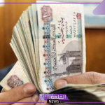 بمشروع قانون العمل.. ضوابط الحصول على مكافأة نهاية الخدمة للموظفين