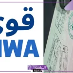 لن تحتاج إلى الكفيل.. السعودية تعلن فرصة عمل دون كفيل أو قيود صعبة