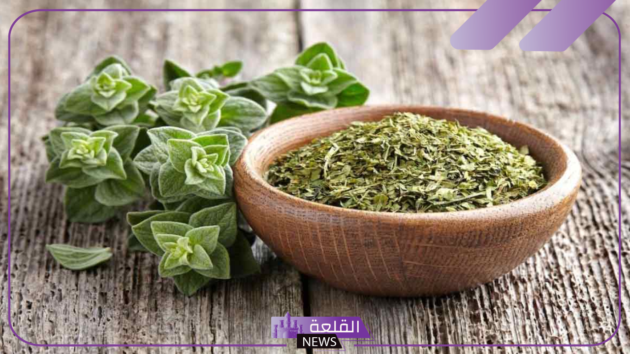 تجربتي مع البردقوش والتكيس المبايض كاملة 5 علاج التكيس بالبردقوش
