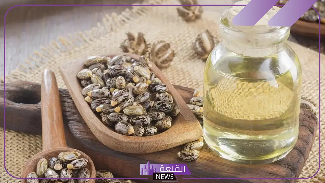 تجربتي مع زيت الخروع للوجه الفوائد والآثار الجانبية تجربتي مع زيت الخروع للوجه الفوائد والآثار الجانبية