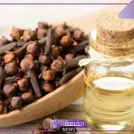تجربتي مع منقوع القرنفل للحمل عالم حواء وطريقة الاستعمال