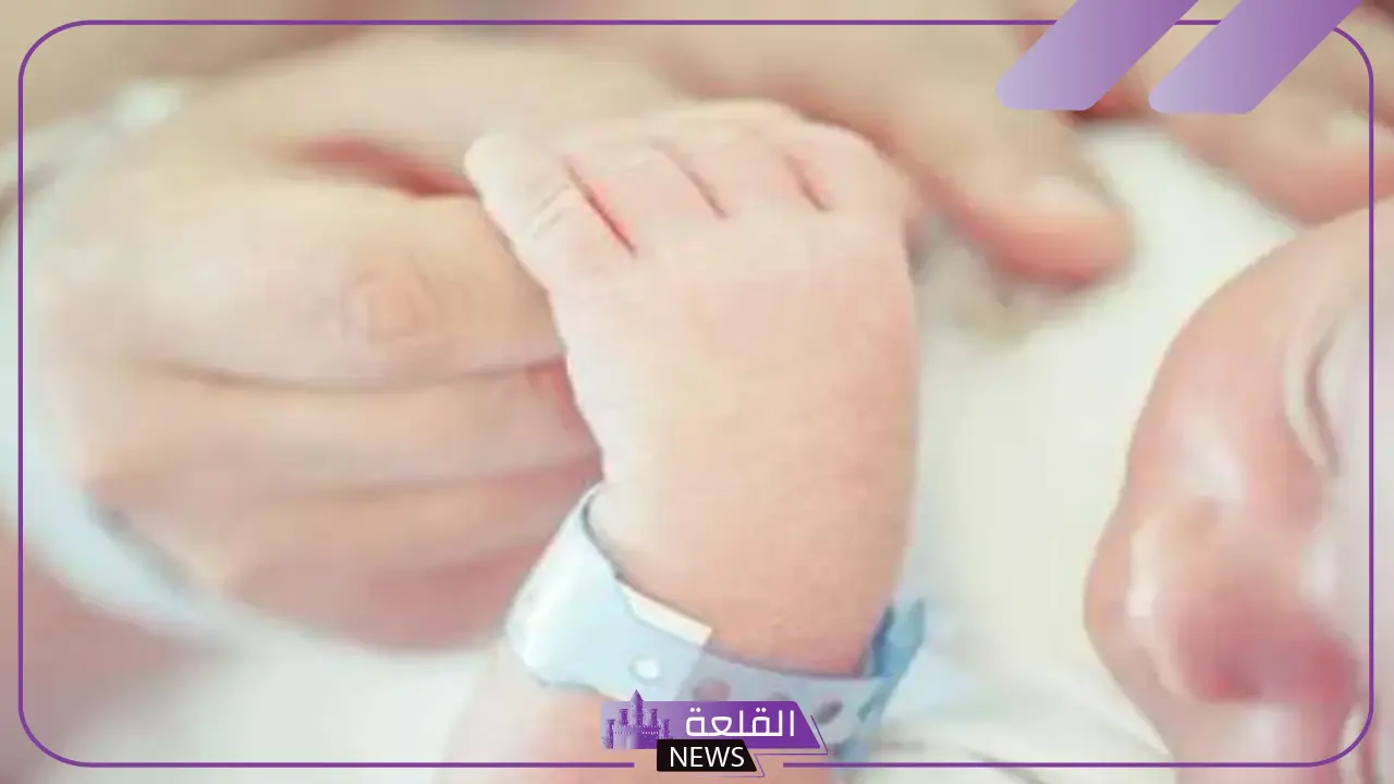 بالخطوات.. إعلان رابط التسجيل في الموالد الجدد عبر منصة أبشر 1446