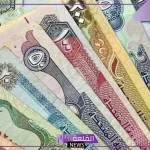 للبيع والشراء.. أسعار بيع وشراء الدرهم الإماراتي مقابل الجنيه المصري اليوم السبت 2 نوفمبر 2024