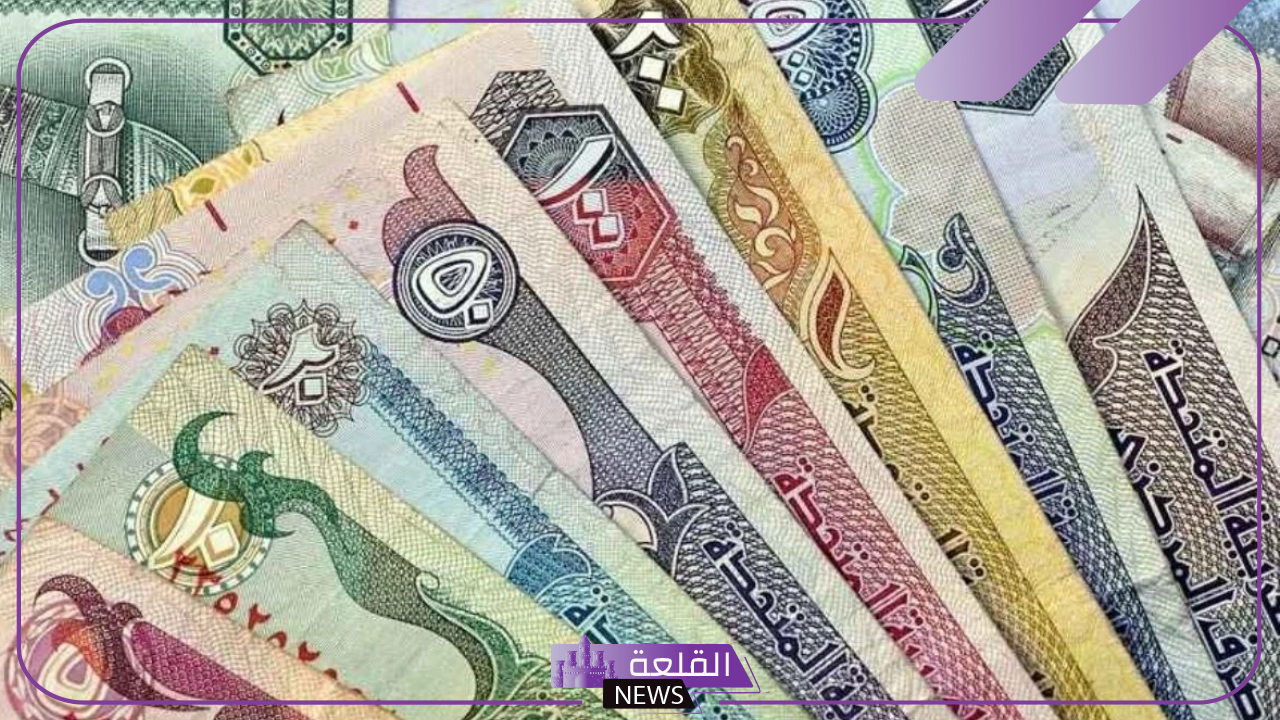 للبيع والشراء.. أسعار بيع وشراء الدرهم الإماراتي مقابل الجنيه المصري اليوم السبت 2 نوفمبر 2024