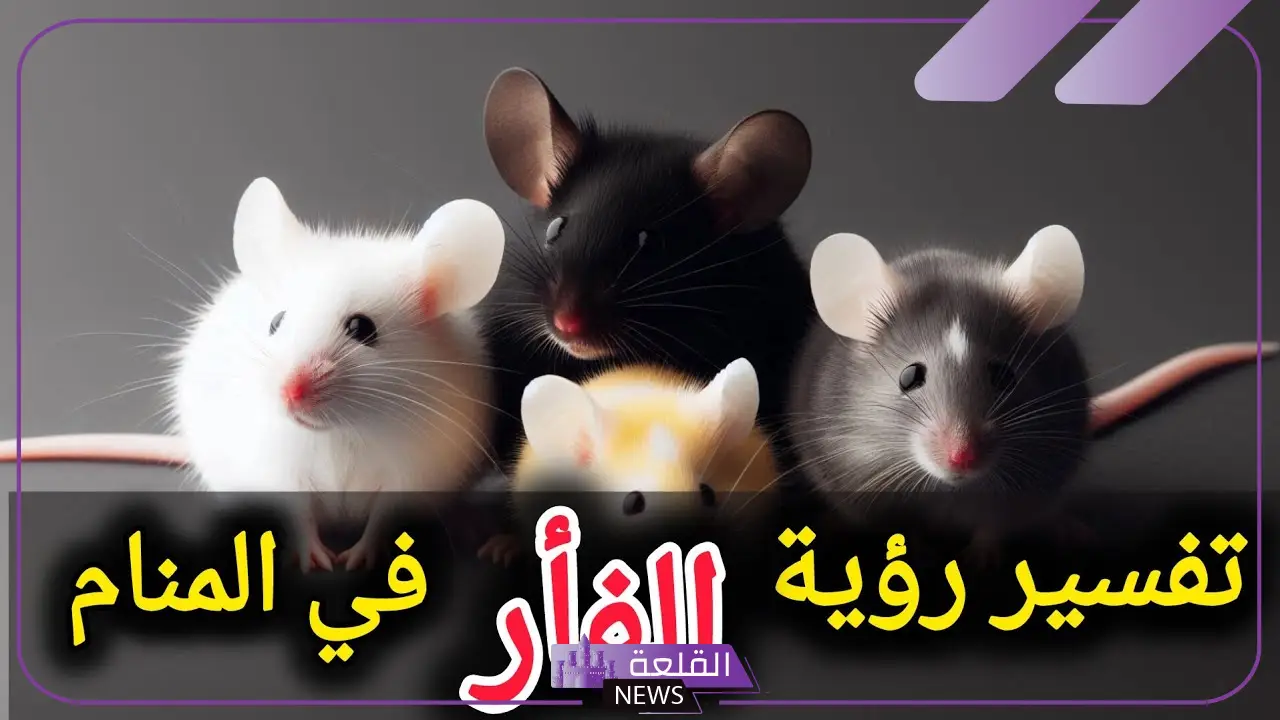 تفسير قتل الفئران في المنام للعزباء والمتزوجة لابن سيرين