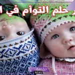 حلمت اني ولدت توأم ولد وبنت وانا حامل في المنام لابن سيرين