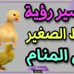 تفسير حلم رؤية البط الصغير في المنام لابن سيرين وذبحه