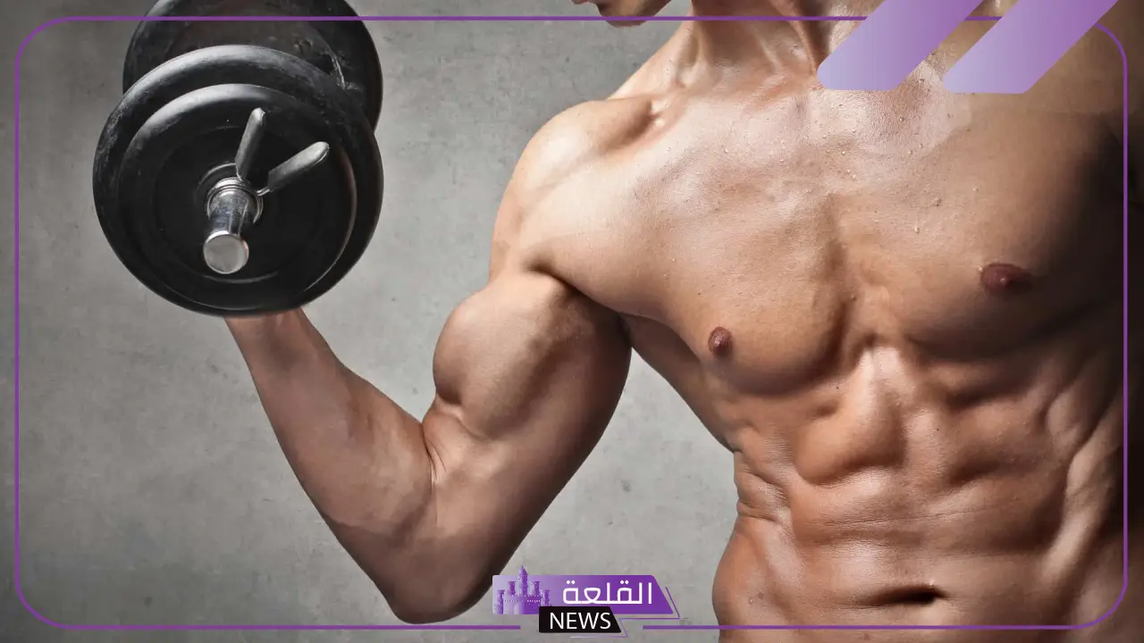 تفسير حلم رؤية العضلات في المنام لابن سيرين