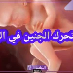 تفسير حلم رؤية حركة الجنين في البطن للحامل في المنام لابن سيرين
