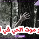 تفسير حلم موت شخص حي ثم عودته للحياة من جديد في المنام لابن سيرين