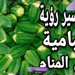 تفسير رؤية البامية في المنام وأكلها لابن سيرين.. رمز البامية المطبوخة