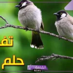 تفسير رؤية البلبل في المنام لابن سيرين للعزباء والمتزوجة