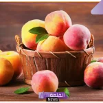 تفسير رؤية الدراق في المنام التأويلات للمرأة والرجل لابن سيرين