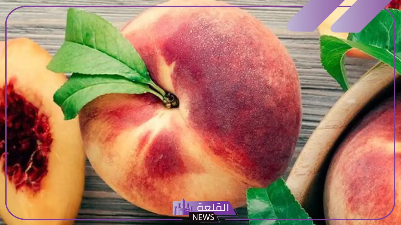 تفسير رؤية الدراق في المنام التأويلات للمرأة والرجل لابن سيرين تفسير رؤية الدراق في المنام التأويلات للمرأة والرجل لابن سيرين