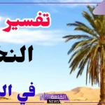 تفسير رؤية النخل في المنام وعلاقتها بقدوم الخير 
