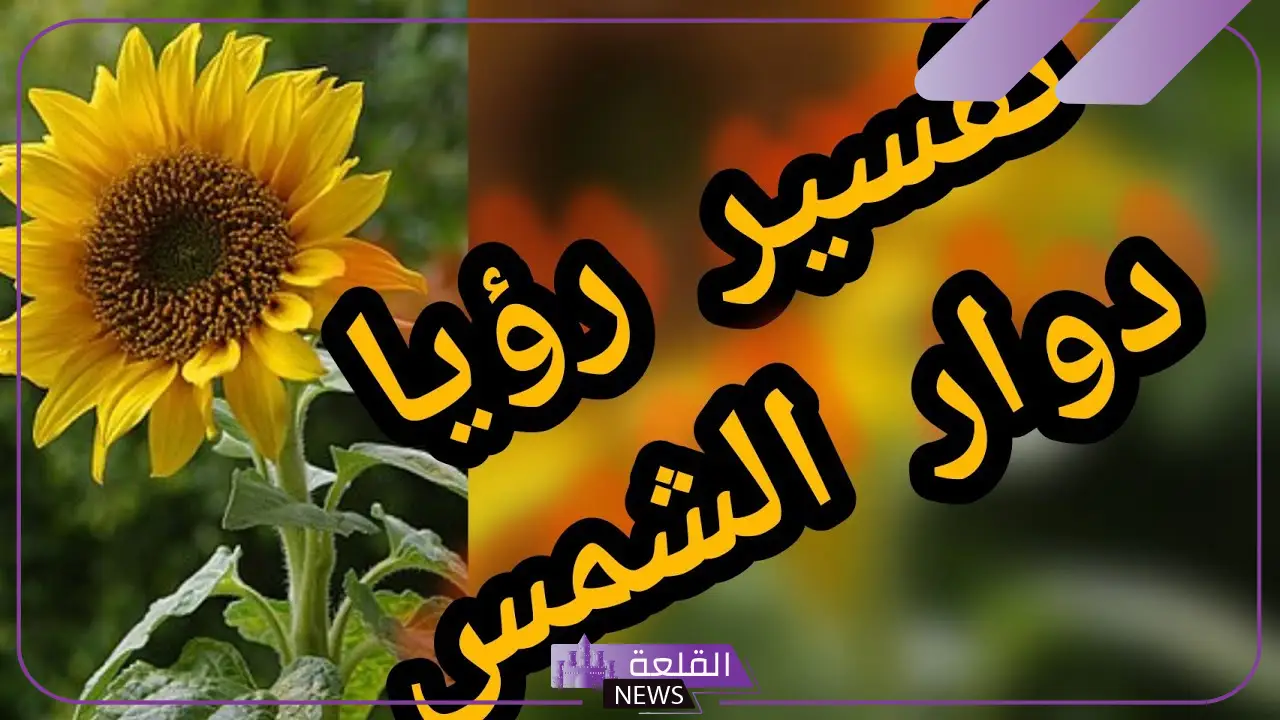 تفسير رؤية بزر عباد الشمس في الحلم لابن سيرين للمتزوجة 5 قشر بزر عباد الشمس في المنام