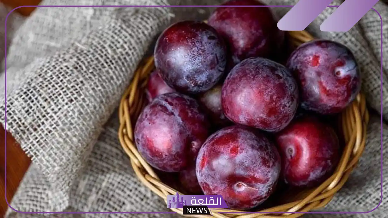 تفسير حلم رؤية البرقوق في المنام وأكله لابن سيرين 5 معنى البرقوق في الحلم