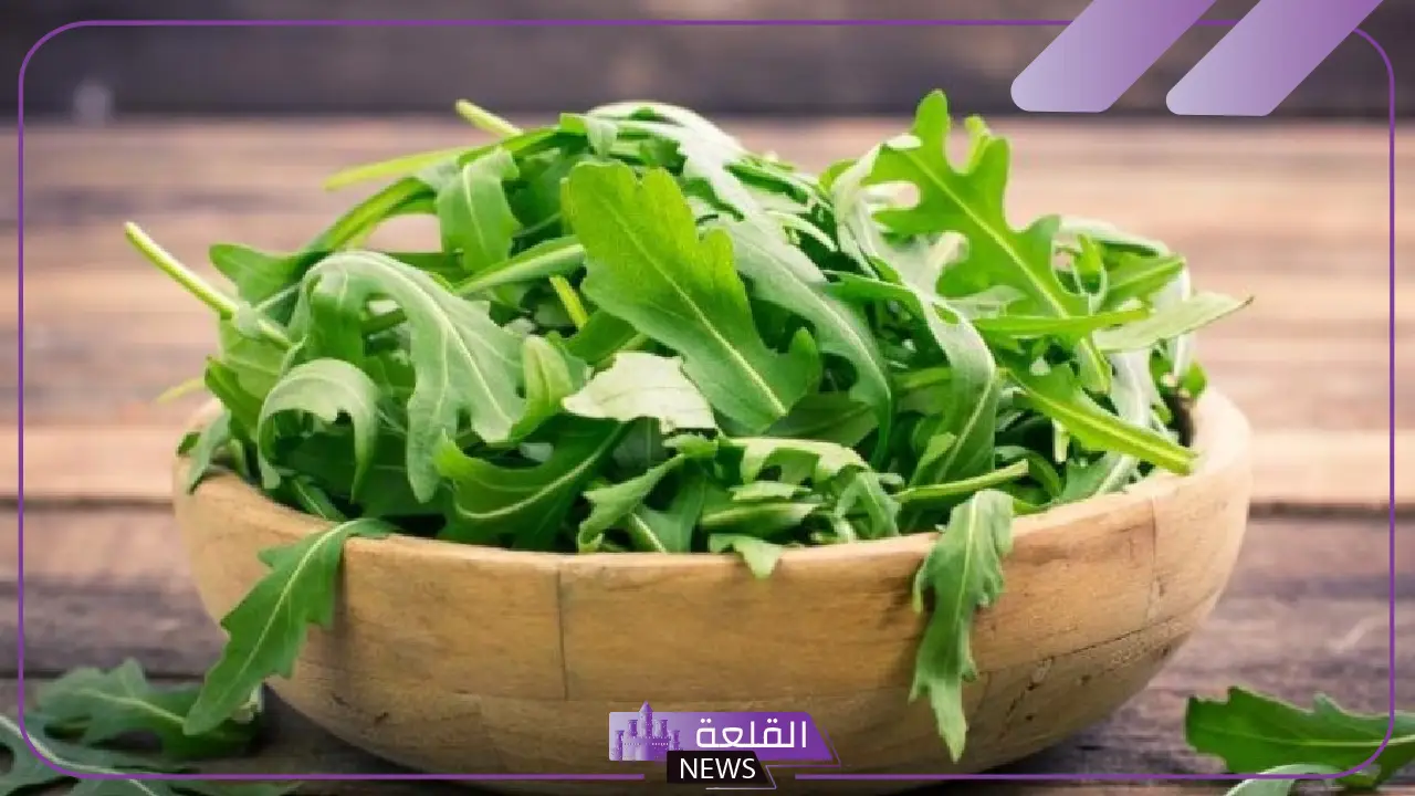 أهمها التخلص من الوزن الزائد.. 10 فوائد من تناول الجرجير يوميًا 5 تعرف على فوائد الجرجير