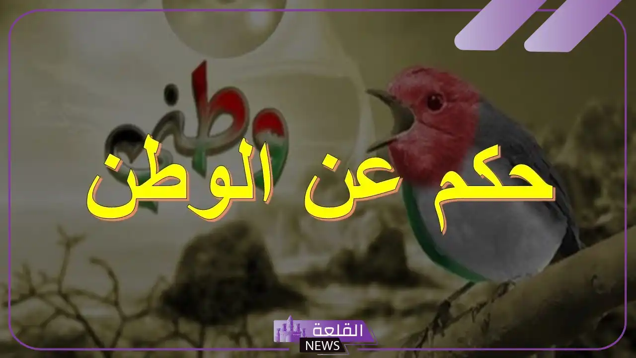 حكمة عن الوطن اذاعة مدرسية كاملة 6 كلمات عن التضحية في الوطن