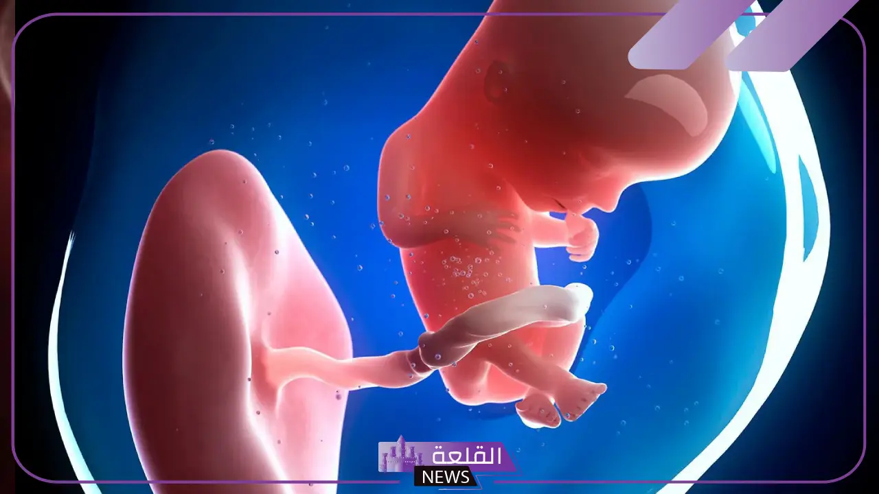 تفسير حلم رؤية حركة الجنين في البطن للحامل في المنام لابن سيرين 5 دلالات حركة الجنين لابن سيرين