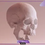 تفسير حلم رؤية عظام الإنسان والحيوان فى المنام لابن سيرين والنابلسي