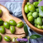 تفسير حلم رؤية قطف الزيتون في المنام لابن سيرين