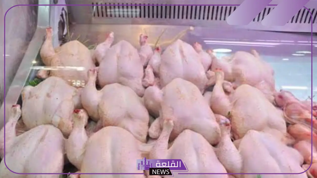 بأسعار رائعة.. وزارة التموين توفر كميات كبيرة من الدواجن المجمدة في الجمعيات بأسعار اقتصادية
